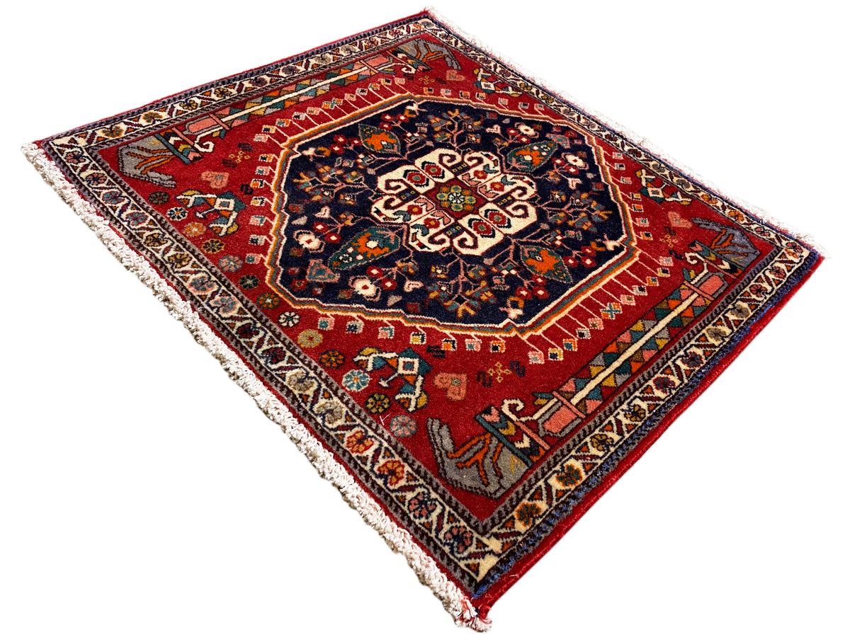 Rug with a red background and dark central medallion, rectangular, finished with fringes